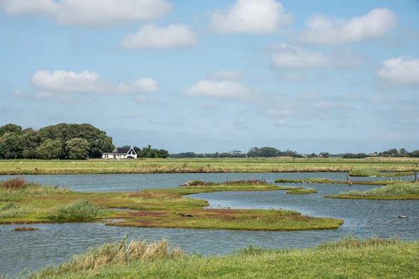 Texel, Holandia. 13 sierpnia 2021. Krajobraz wyspy Texel, Holandia Północna. — Zdjęcie stockowe