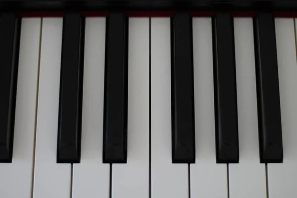 Вирізання чорно-білої клавіатури піаніно — стокове фото