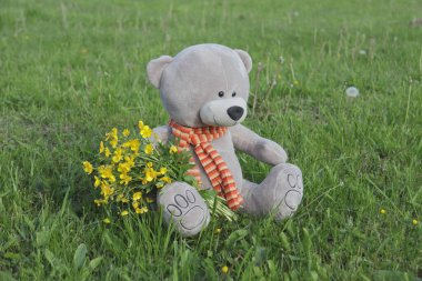 Yumuşak oyuncak ayı bir demet sarı çiçekle çimlerin üzerinde oturuyor.