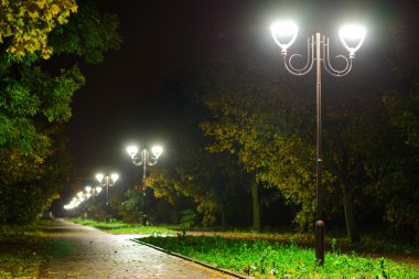 akşam park, sokak fener ile