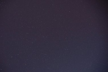 Güzel bir gece gökyüzü, Samanyolu ve ağaçlar