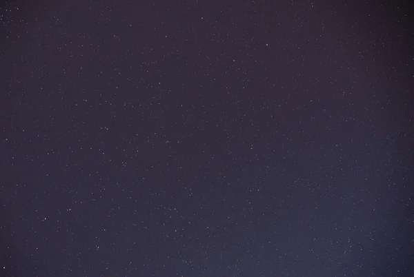 Een prachtige nachthemel, de Melkweg en de bomen — Stockfoto