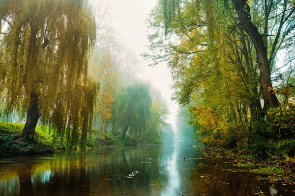Φθινόπωρο ποταμού στην ομίχλη — Φωτογραφία Αρχείου