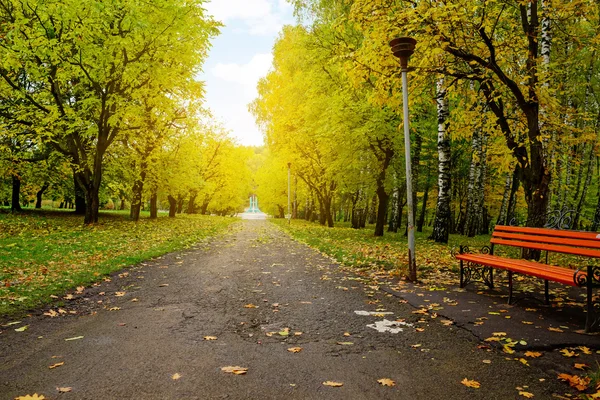 Ukrayna'da sonbahar park — Stok fotoğraf