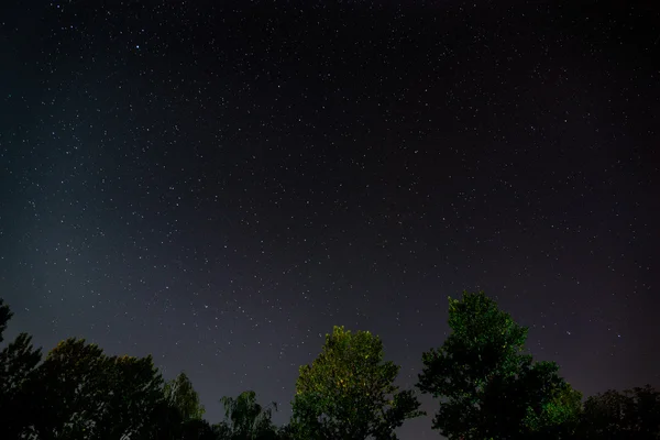 Céu estrelado — Fotografia de Stock