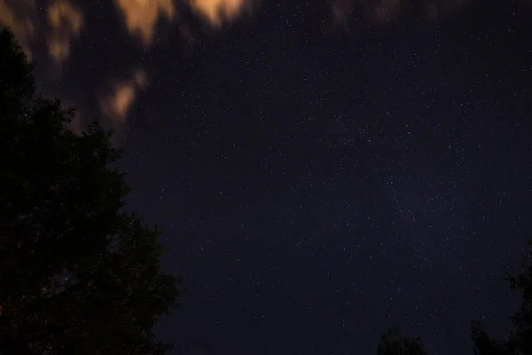 Céu estrelado — Fotografia de Stock