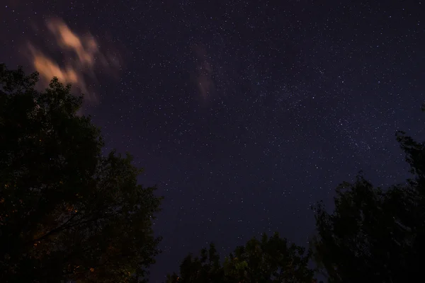 Hvězdnou oblohu — Stock fotografie