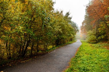 Yaya yol sonbahar park