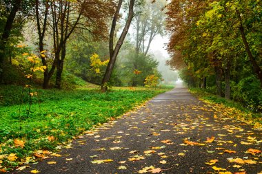 Yaya yol sonbahar park