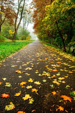 Yaya yol sonbahar park