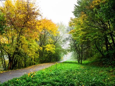 Yaya yol sonbahar park