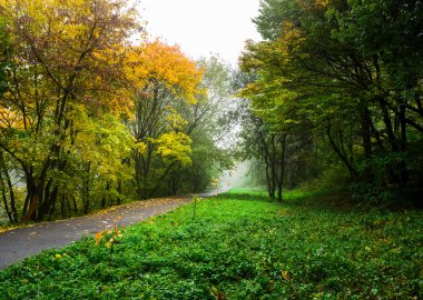 Yaya yol sonbahar park