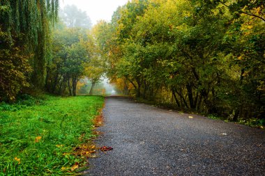 Yaya yol sonbahar park