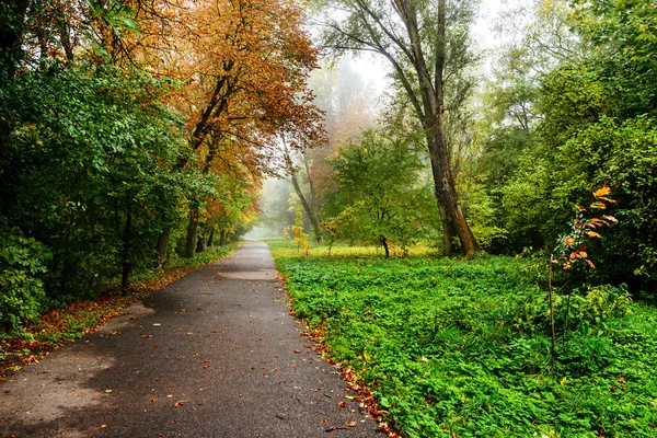 Πεζόδρομος πάρκο φθινόπωρο — Φωτογραφία Αρχείου