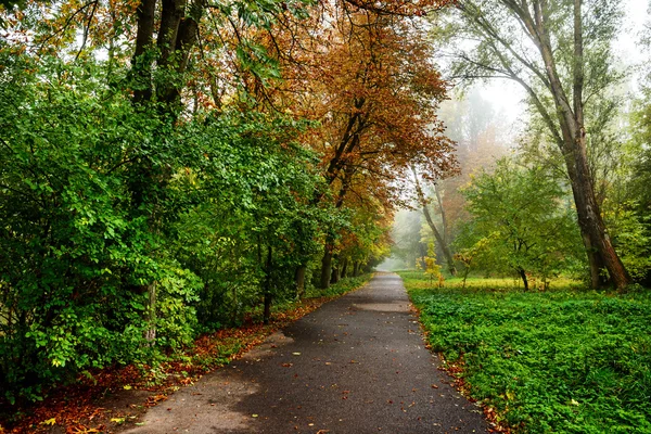 Yaya yol sonbahar park — Stok fotoğraf