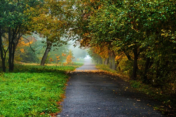 Yaya yol sonbahar park — Stok fotoğraf