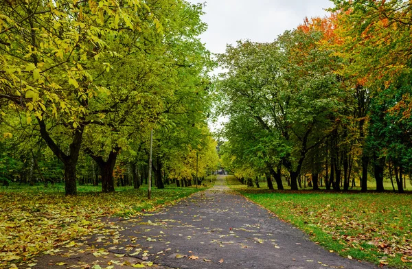 Ukrayna'da sonbahar park — Stok fotoğraf