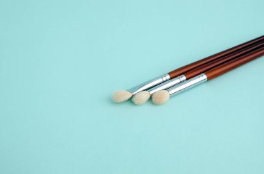 Mavi arka planda profesyonel yüz yapma sanatçısı için yüksek kalite makyaj fırçaları