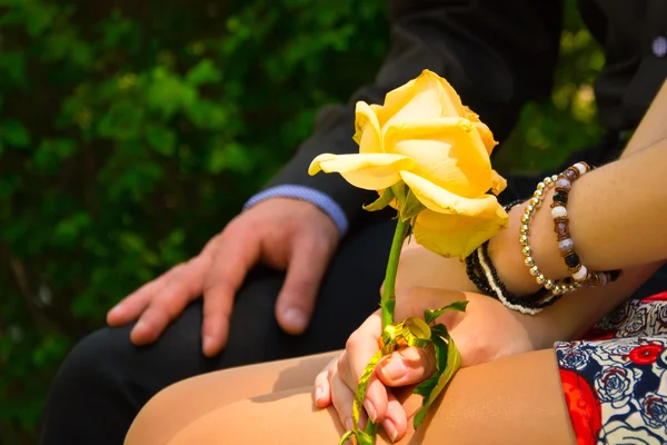 Τα χέρια με ένα τριαντάφυλλο — Φωτογραφία Αρχείου