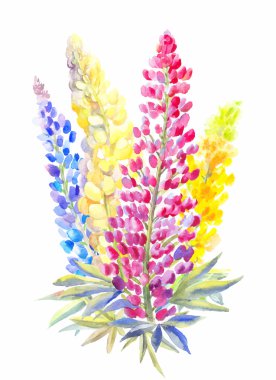 suluboya lupine buket