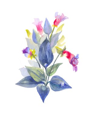 Bush yaban Reaply üzerinde su ile yağmur damlaları sonra çiçek