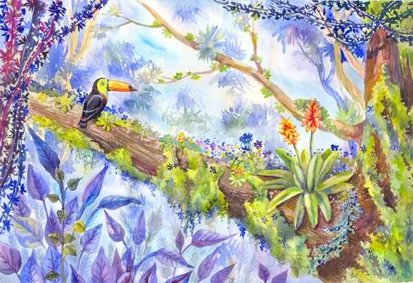 Jungle lesa s toucan sedí na stromě, akvarel ilustr — Stock fotografie