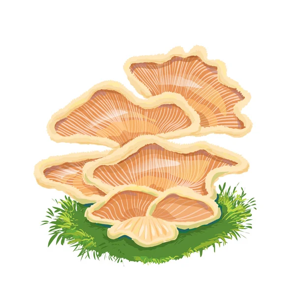 Heap plate of mushrooms, mushroom family on grass, an icon with — Stock Vector