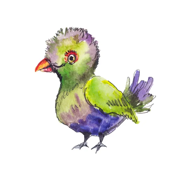 Skizze eines tropischen grünen Vogels. Lustige handgezeichnete Skizze. — Stockvektor