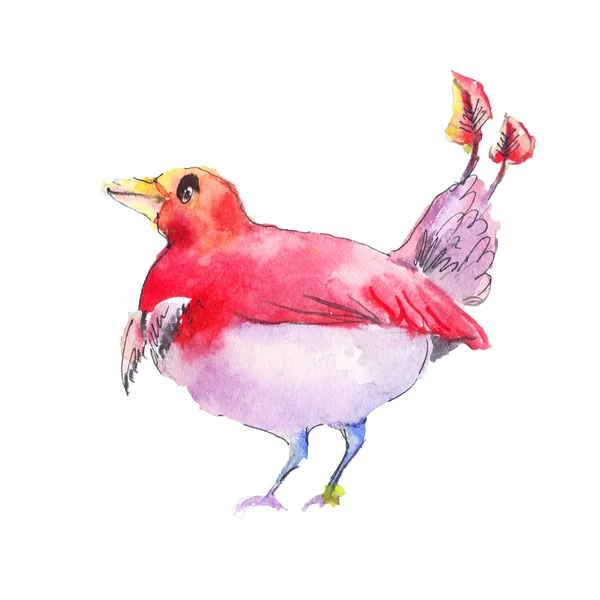 환상적인 붉은 새. 빨간 새의 수채화 환상적인 조류에 의해 그려진 — 스톡 사진