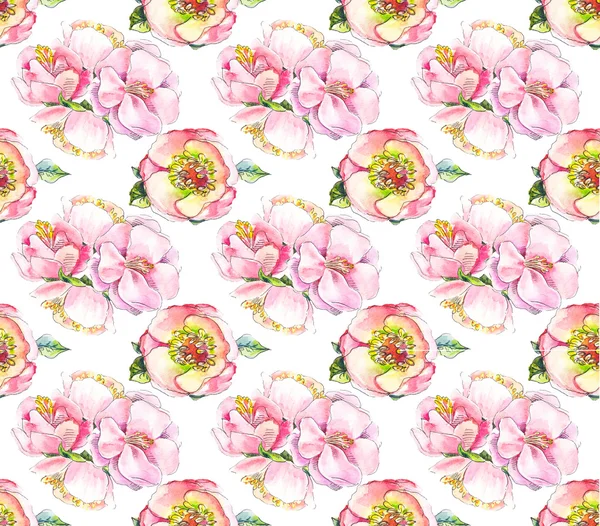 Aquarell rosa Blumenmuster. Aquarell Backgrond mit Blume — Stockfoto