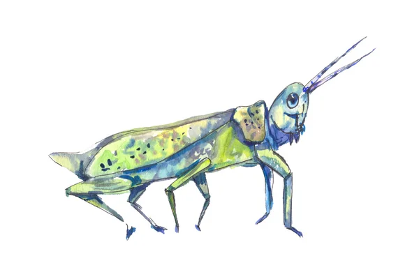 Transparent blå gräshoppa. Akvarell blå gräshoppa. Trans — Stockfoto