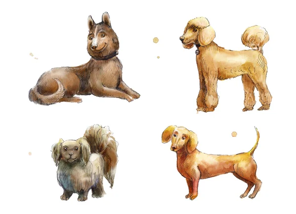 Sada akvarel psů — Stock fotografie
