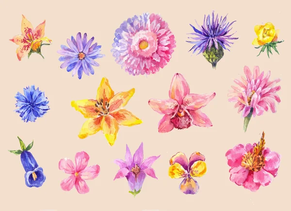 Set di fiori testa in acquerello. Pittura disegnata a mano, isolata — Vettoriale Stock