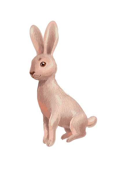Dibujo dibujado a mano de conejo marrón aislado en blanco, sentado y — Vector de stock