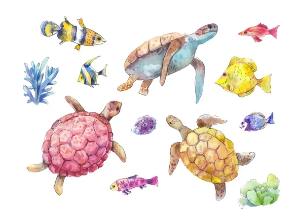 Featured image of post Watercolor Sea Turtle Drawing After the hammerheads i wanted to to take a break from scary for a bit