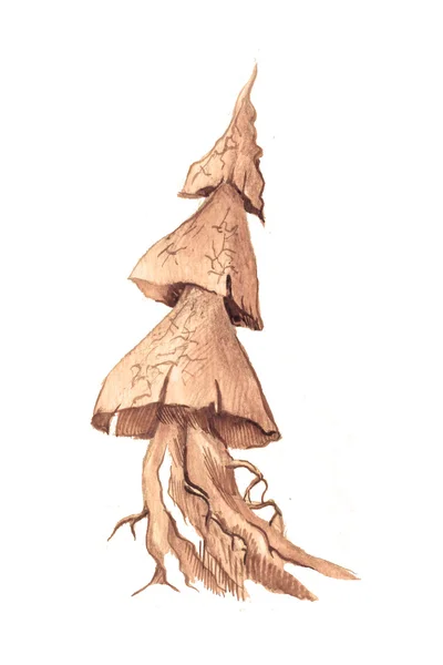 Schizzo disegnato a mano dell'albero . — Foto Stock