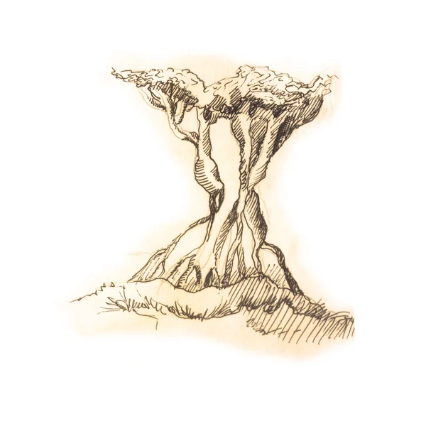 Eski vintage çizim tarzı ağaç kroki — Stok fotoğraf
