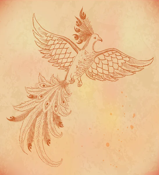 Рисунок огненной птицы на старой бумаге, рисунок феникса — стоковый вектор