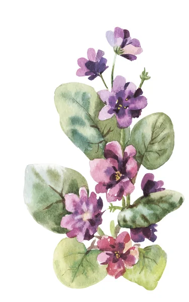 Viola flor acuarela — Vector de stock