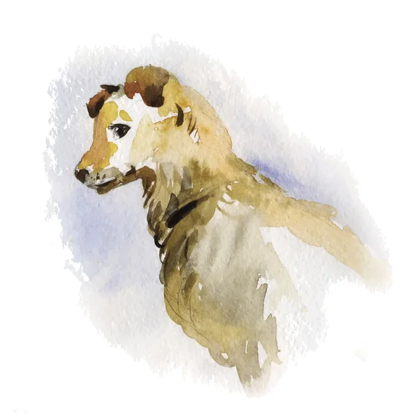 Retrato aquarela de um cão — Vetor de Stock