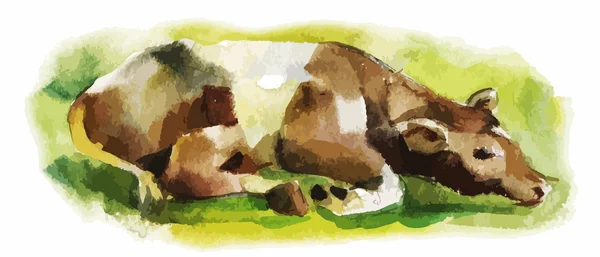 Watercolor illustration of sleeping calf — Stock Vector
