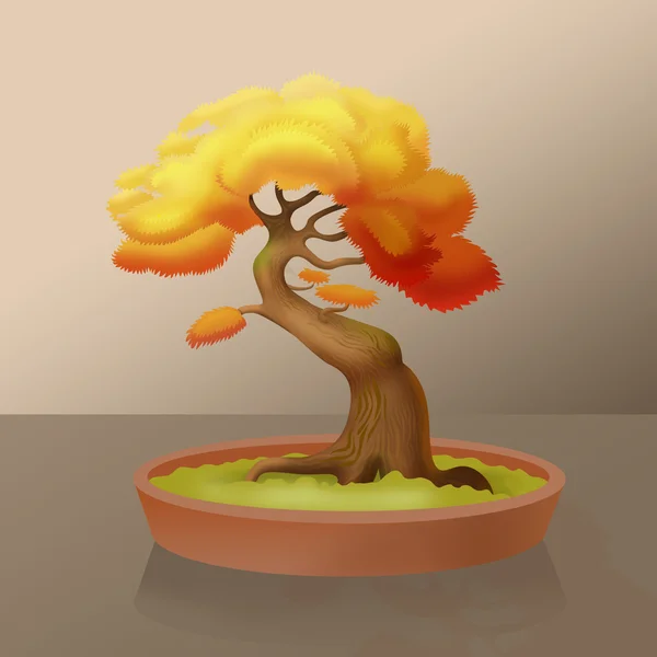 Maple bonsai illustratie — Stockfoto