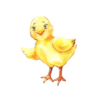 Elle çizilmiş tavuk, komik civciv de suluboya