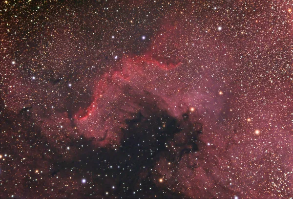 North American Nebula Ngc 7000 Cygnus Constellation Seen San Vincenzo — Stock Photo, Image