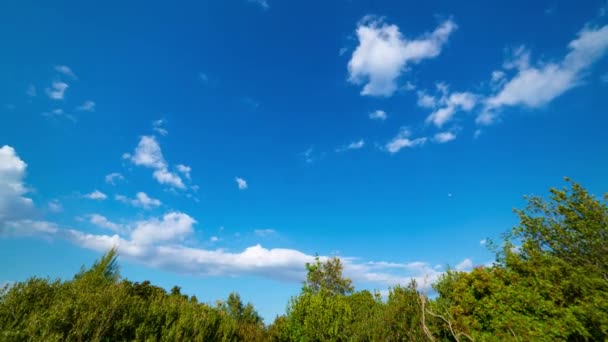 Piękny Czas Upływu Toskańskiej Wsi Toczącymi Się Chmurami Śródziemnomorskim Zarostem — Wideo stockowe