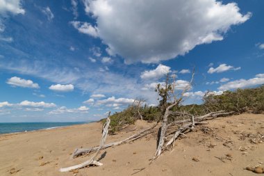 Tuscany İtalya 'sında deniz kumu dalgaları ve Tyrhenian kıyılarının mavi gökyüzü ile Panorama