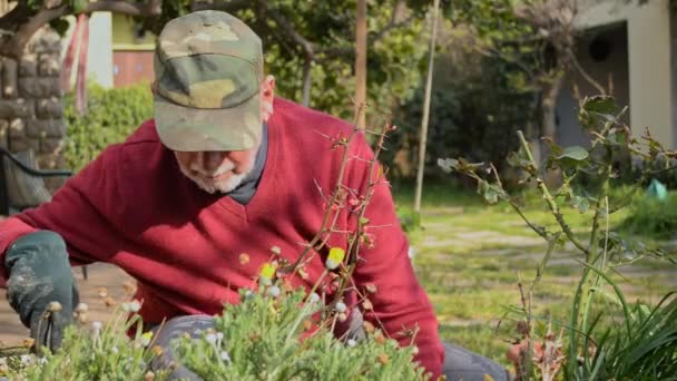 Літній Чоловік Піклується Про Свій Сад — стокове відео