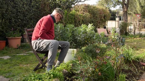 Elderly Man Work His Garden — Stock Video