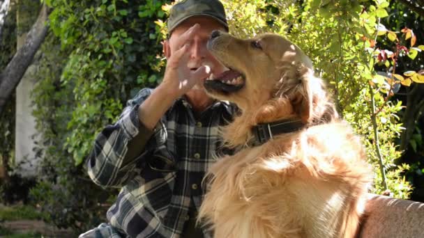 Homem Idoso Brinca Com Seu Cão Golden Retriever — Vídeo de Stock