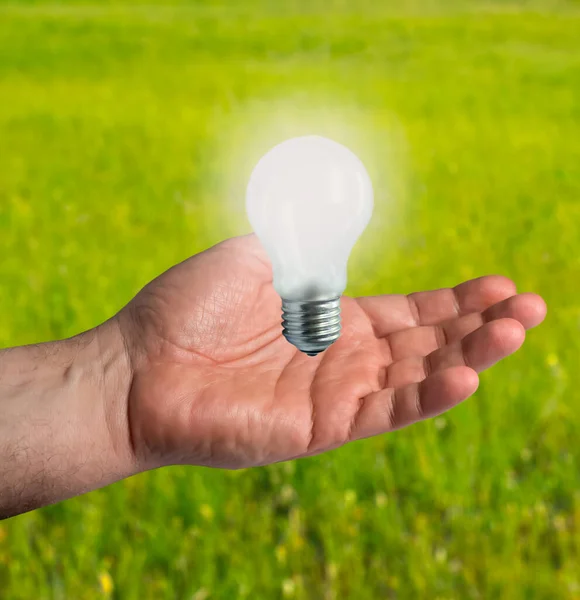 Light bulb in a man\'s hand on the background of a green field out of focus. Idea concept with innovation and inspiration